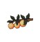 Oranges on Tree Branch, Fruit, Food, Embroidered, Iron on Patch